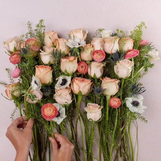 Sami Sacha Flowers